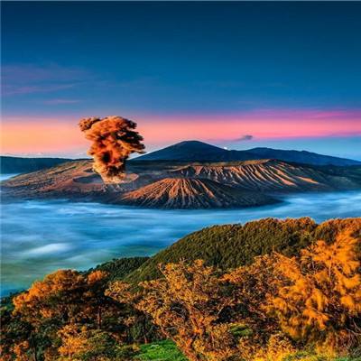 公主美发店官方版(暂未上线)v1.0.5 安卓版